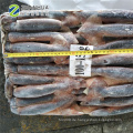 Seafrozen ganze runde Tintenfisch Argentinien Calamary Tintenfisch Illex 200-300g